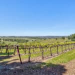 Photo 61 for Granite Ridge Vineyard & Estate