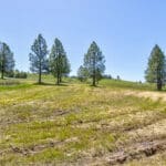 Photo 66 for Granite Ridge Vineyard & Estate