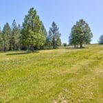 Photo 67 for Granite Ridge Vineyard & Estate