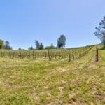 Photo 68 for Granite Ridge Vineyard & Estate
