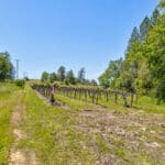 Photo 69 for Granite Ridge Vineyard & Estate