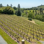 Photo 76 for Granite Ridge Vineyard & Estate
