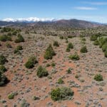 Photo 14 for Virginia City Highlands: Valleyview Ranch
