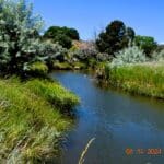 Photo 5 for Sun Circle Ranch