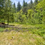 Photo 7 for Otter Creek Cabin