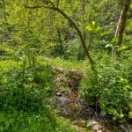 Photo 9 for Otter Creek Cabin