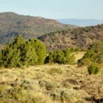 Photo 12 for Virginia City Highlands: Lakeview Ranch