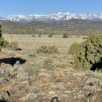 Photo 1 for Virginia City Highlands: Lakeview Ranch