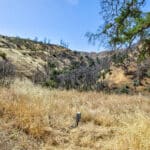 Photo 65 for Old Iron Gate Ranch
