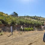Photo 56 for Old Iron Gate Ranch
