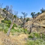 Photo 41 for Old Iron Gate Ranch