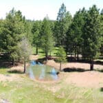Photo 10 for Elk Meadow Ranch