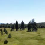 Photo 54 for Elk Meadow Ranch