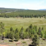 Photo 60 for Elk Meadow Ranch