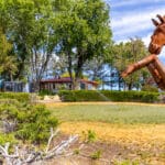 Photo 1 for Sun Circle Ranch