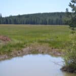 Photo 65 for Elk Meadow Ranch