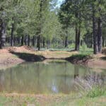Photo 66 for Elk Meadow Ranch