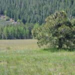 Photo 67 for Elk Meadow Ranch