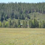 Photo 69 for Elk Meadow Ranch
