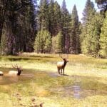 Photo 2 for Elk Meadow Ranch