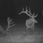 Photo 47 for Elk Meadow Ranch