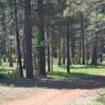 Photo 57 for Elk Meadow Ranch