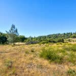 Photo 10 for Cameron Park Beauty 5.18 Acre Lot