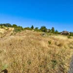 Photo 7 for Cameron Park Beauty 5.18 Acre Lot