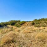 Photo 5 for Cameron Park Beauty 5.18 Acre Lot