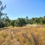 Photo 13 for Cameron Park Beauty 5.09 Acre Lot