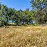 Photo 14 for Cameron Park Beauty 5.09 Acre Lot