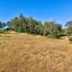 Photo 16 for Cameron Park Beauty 5.09 Acre Lot