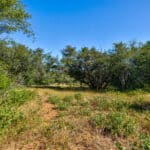 Photo 17 for Cameron Park Beauty 5.09 Acre Lot
