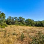 Photo 18 for Cameron Park Beauty 5.09 Acre Lot
