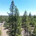 Photo 1 for Shoshoni Loop