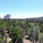 Photo 2 for Shoshoni Loop
