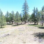 Photo 7 for Shoshoni Loop