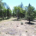 Photo 8 for Shoshoni Loop