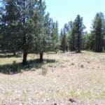 Photo 3 for Shoshoni Loop