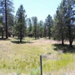 Photo 10 for Shoshoni Loop