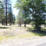 Photo 12 for Shoshoni Loop