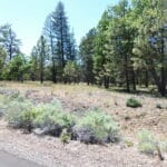 Photo 13 for Shoshoni Loop