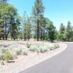 Photo 14 for Shoshoni Loop