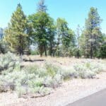 Photo 11 for Shoshoni Loop
