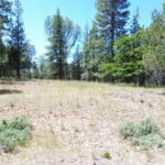 Photo 5 for Shoshoni Loop