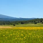 Photo 2 for Parker Creek Ranch