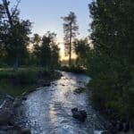 Photo 4 for Parker Creek Ranch