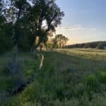 Photo 30 for Parker Creek Ranch