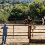 Photo 65 for Sunset Ranch