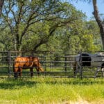 Photo 58 for Sunset Ranch